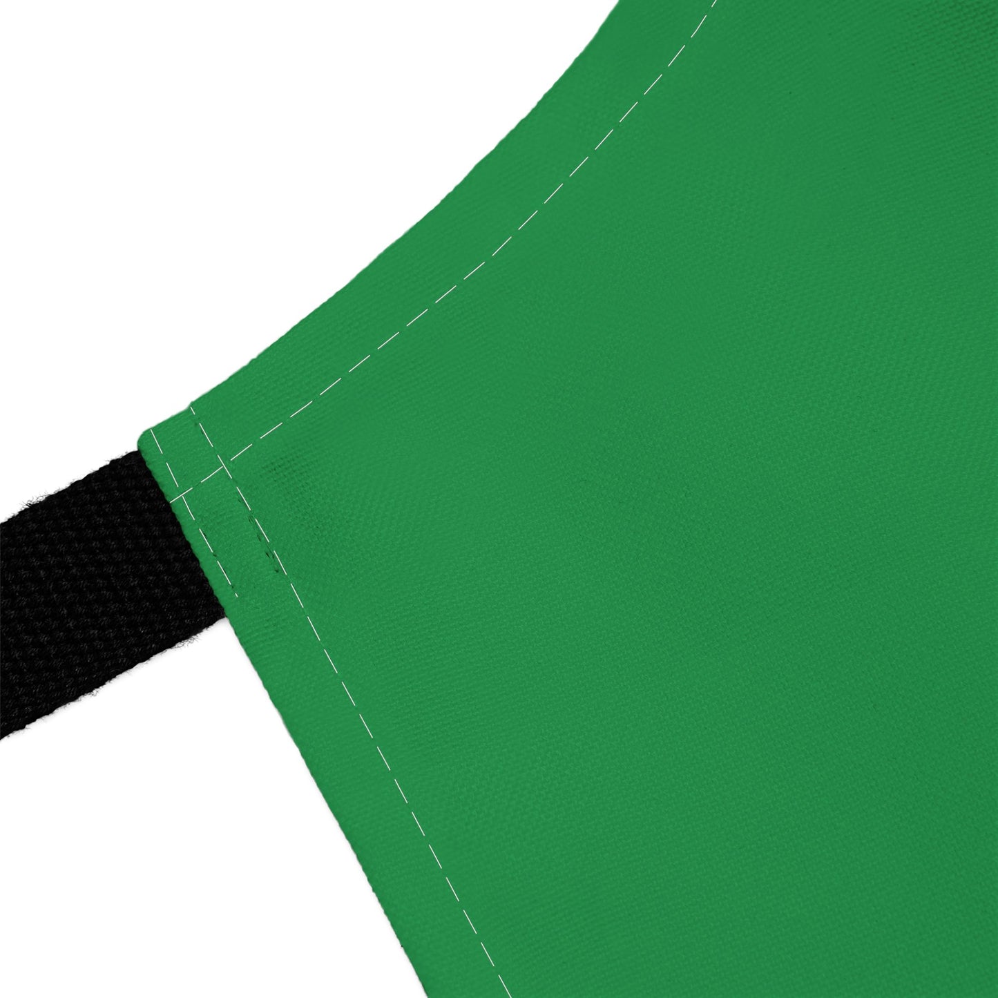 Fly Eagles Fly Apron